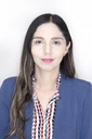 POSADA NAVIDEÑA COLABORADORES